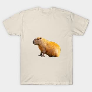 Just sitting Capy T-Shirt